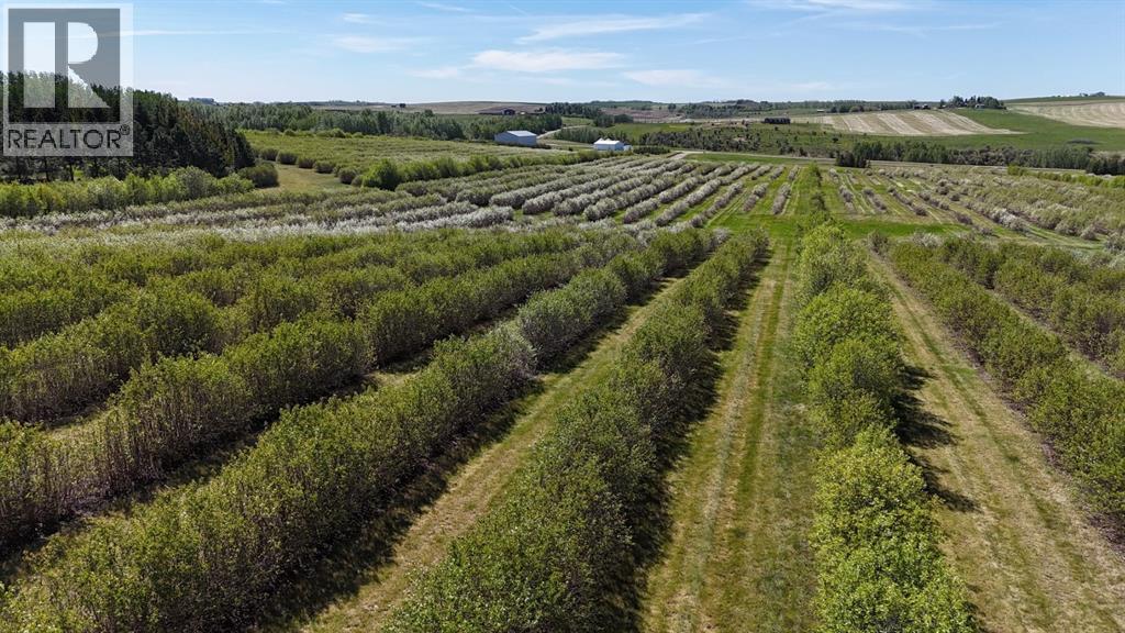 Lorem Ipsum, Rural Mountain View County, Alberta  T0M  - Photo 41 - DEMO27547644