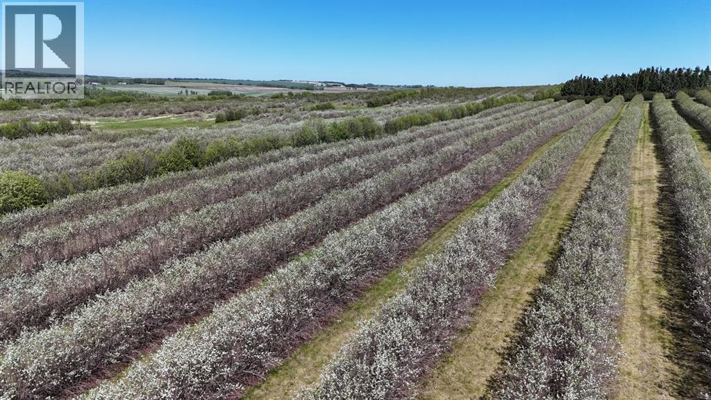 Lorem Ipsum, Rural Mountain View County, Alberta  T0M  - Photo 42 - DEMO27547644