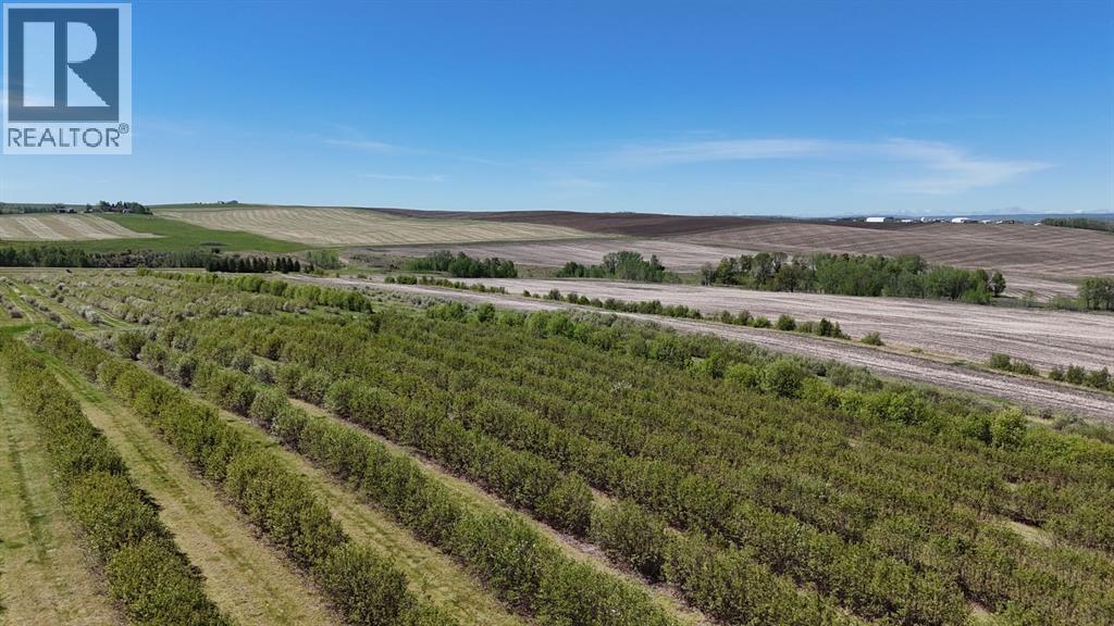 Lorem Ipsum, Rural Mountain View County, Alberta  T0M  - Photo 40 - DEMO27547644