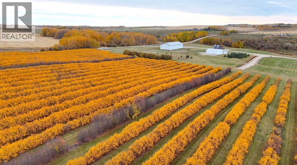 Lorem Ipsum, Rural Mountain View County, Alberta  T0M  - Photo 44 - DEMO27547644