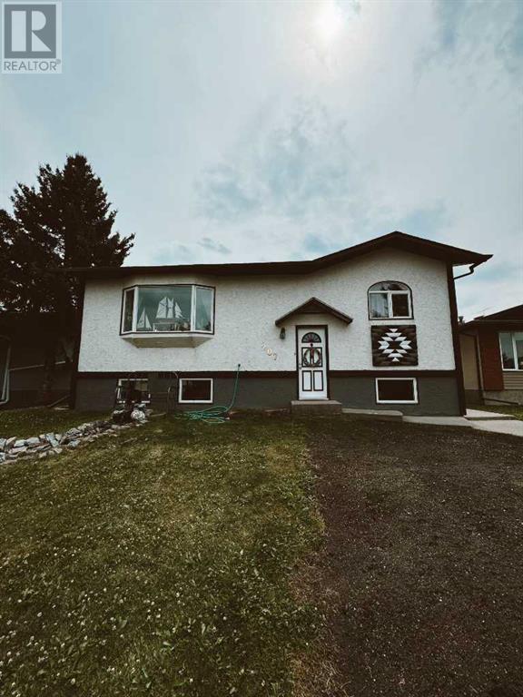 207 9 Avenue Ne, Sundre, Alberta  T0M 1X0 - Photo 3 - A2153526