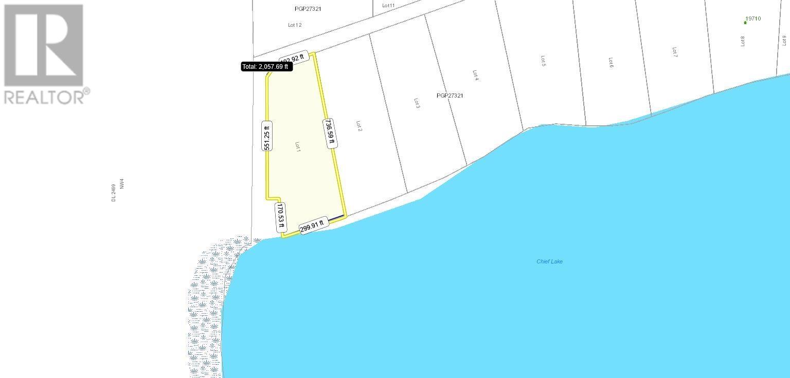 Property at LOT 1 CHIEF LAKE ROAD image 4