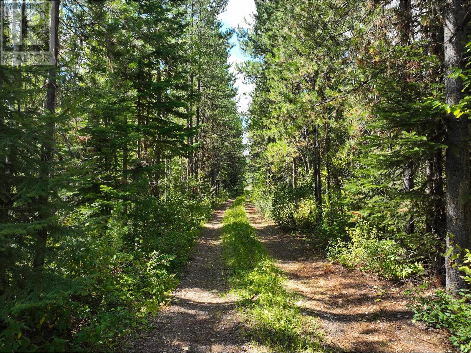 Property at LOT 5 CHIEF LAKE ROAD image 2