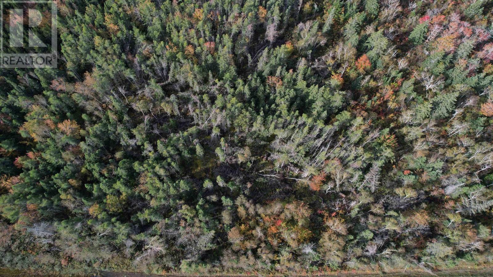 Sand Lake Road, Tower Road, Nova Scotia  B1B 1J5 - Photo 4 - 202424831