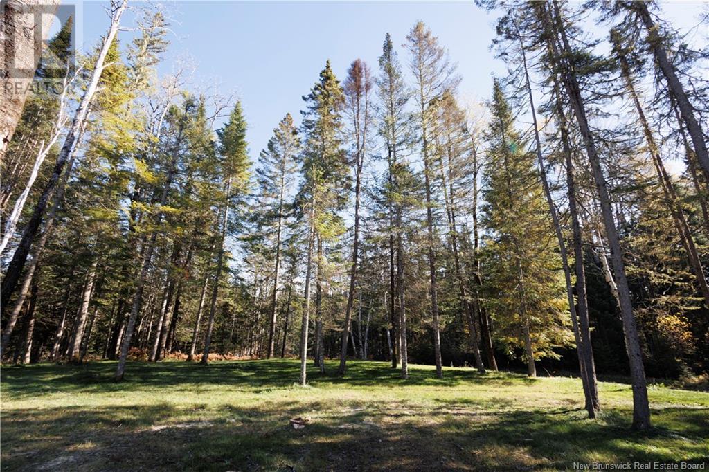 1264 Canton Road, Dsl De Drummond/dsl Of Drummond, New Brunswick  E3Y 3W8 - Photo 10 - NB108020
