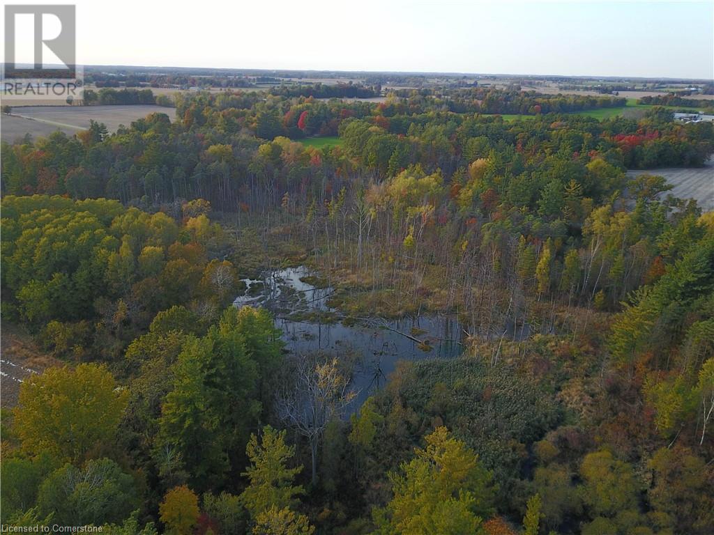 904 Schafer Side Road, Delhi, Ontario  N4B 2W5 - Photo 28 - 40665447