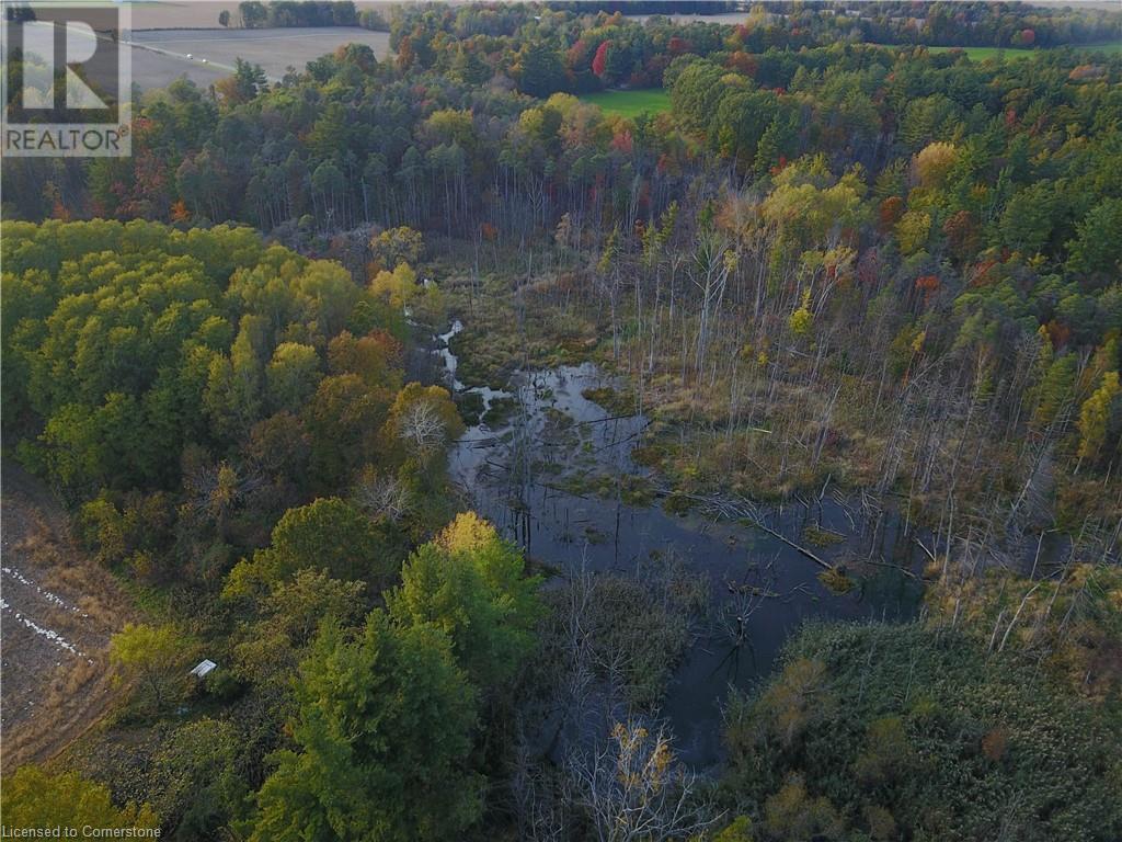 904 Schafer Side Road, Delhi, Ontario  N4B 2W5 - Photo 29 - 40665447