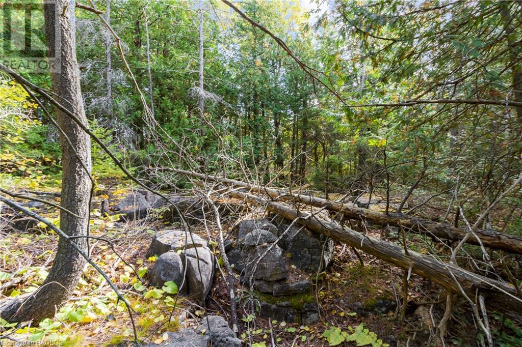 Pt Lt 4 Nicholas Street, Northern Bruce Peninsula, Ontario  N0H 2R0 - Photo 20 - X10846869