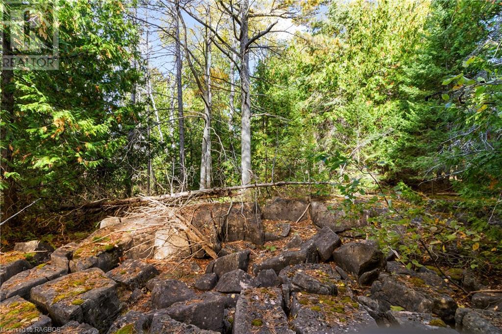 Pt Lt 4 Nicholas Street, Northern Bruce Peninsula, Ontario  N0H 2R0 - Photo 22 - X10846869