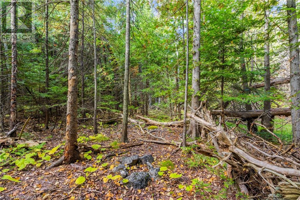 Pt Lt 4 Nicholas Street, Northern Bruce Peninsula, Ontario  N0H 2R0 - Photo 27 - X10846869