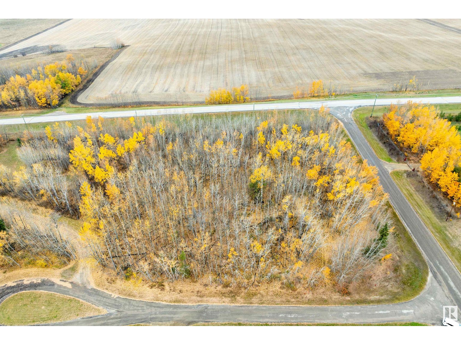 #100 55109 Hwy 777, Rural Lac Ste. Anne County, Alberta  T0E 1V0 - Photo 10 - E4410849