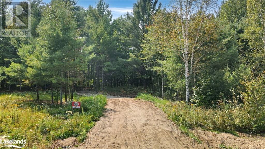 LOT 1, algonquin highlands (stanhope), Ontario