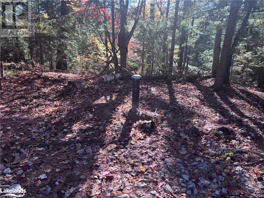 Lot 1, Algonquin Highlands (Stanhope), Ontario  K0M 1J2 - Photo 8 - X10436562