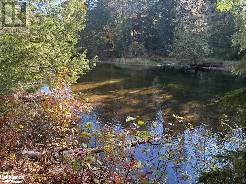Lot 2, Algonquin Highlands (Stanhope), Ontario  K0M 1J2 - Photo 4 - X10436614