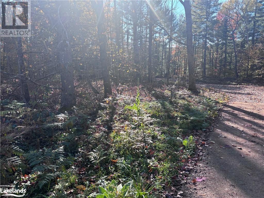 Lot 5, Algonquin Highlands (Stanhope), Ontario  K0M 1J2 - Photo 7 - X10436451