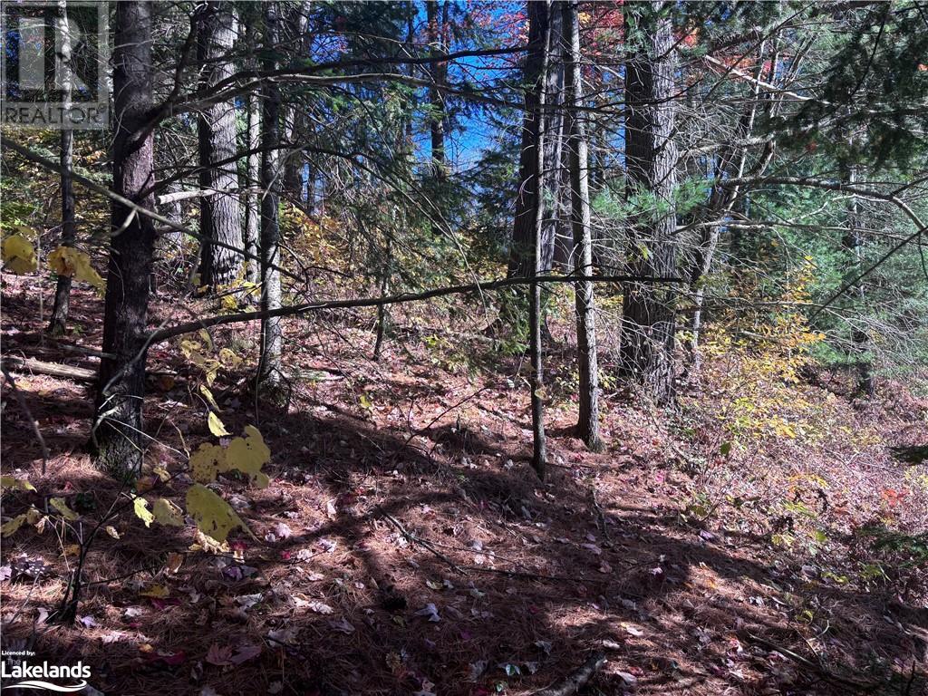Lot 5, Algonquin Highlands (Stanhope), Ontario  K0M 1J2 - Photo 11 - X10436451