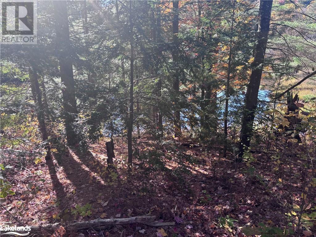 Lot 5, Algonquin Highlands (Stanhope), Ontario  K0M 1J2 - Photo 9 - X10436451