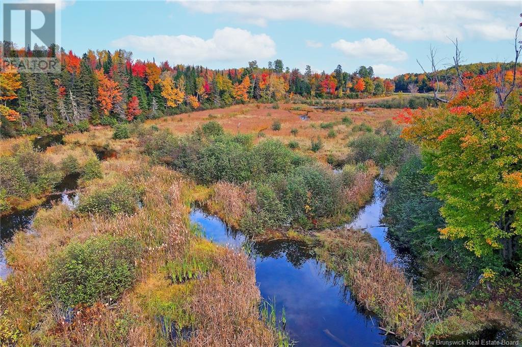 - 690 Route, Flowers Cove, New Brunswick  O0O 0O0 - Photo 20 - NB107945