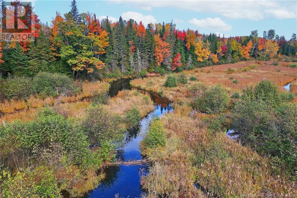 - 690 Route, Flowers Cove, New Brunswick  O0O 0O0 - Photo 23 - NB107945