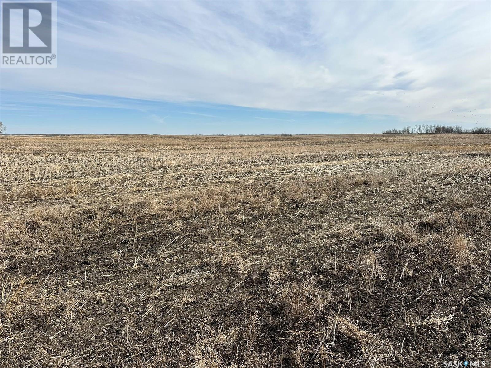 8432 Acres Rm279, Rm248, Rm219 Grain Farmland, Raymore, Saskatchewan  S0A 3S0 - Photo 33 - SK986428