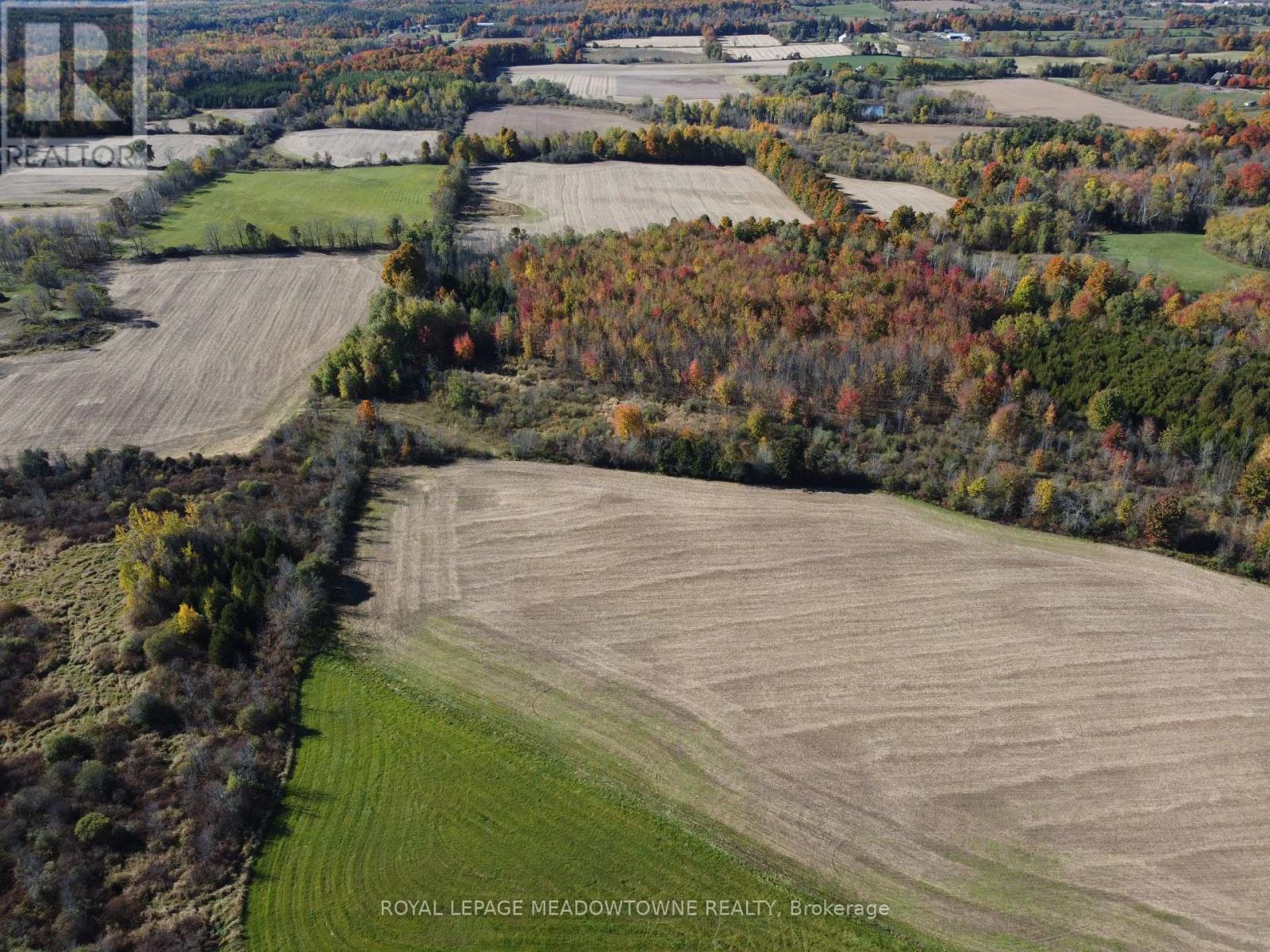 11080 First Line, Milton, Ontario  L0P 1J0 - Photo 4 - W9345234