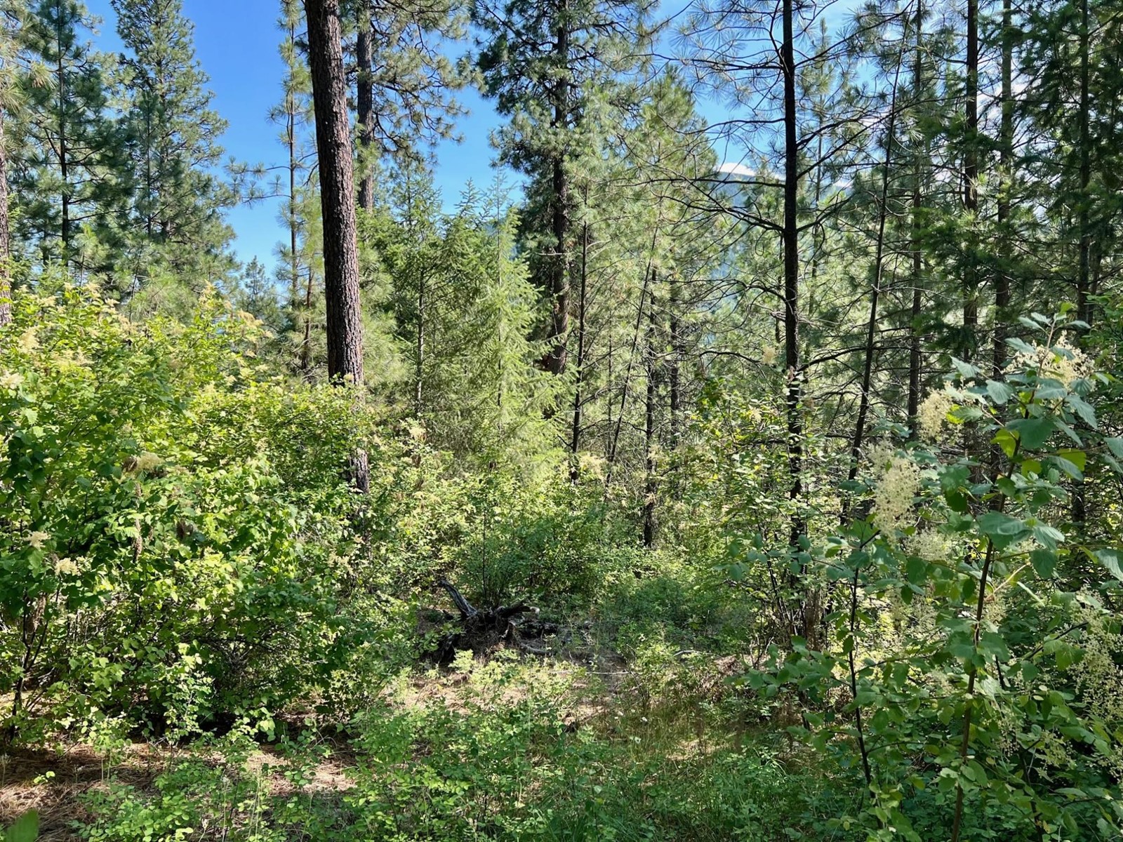 Lot 11 Evans Rd, Creston, British Columbia  V0B 1G7 - Photo 3 - 2480120