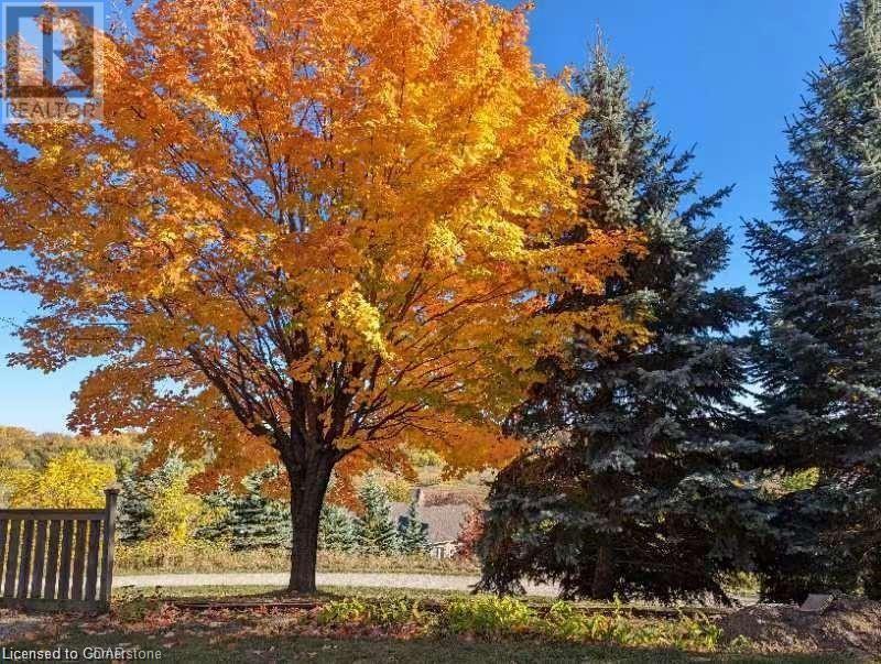 9 Tinatawa Court Unit# Lower, Kitchener, Ontario  N2A 3K4 - Photo 3 - 40663160