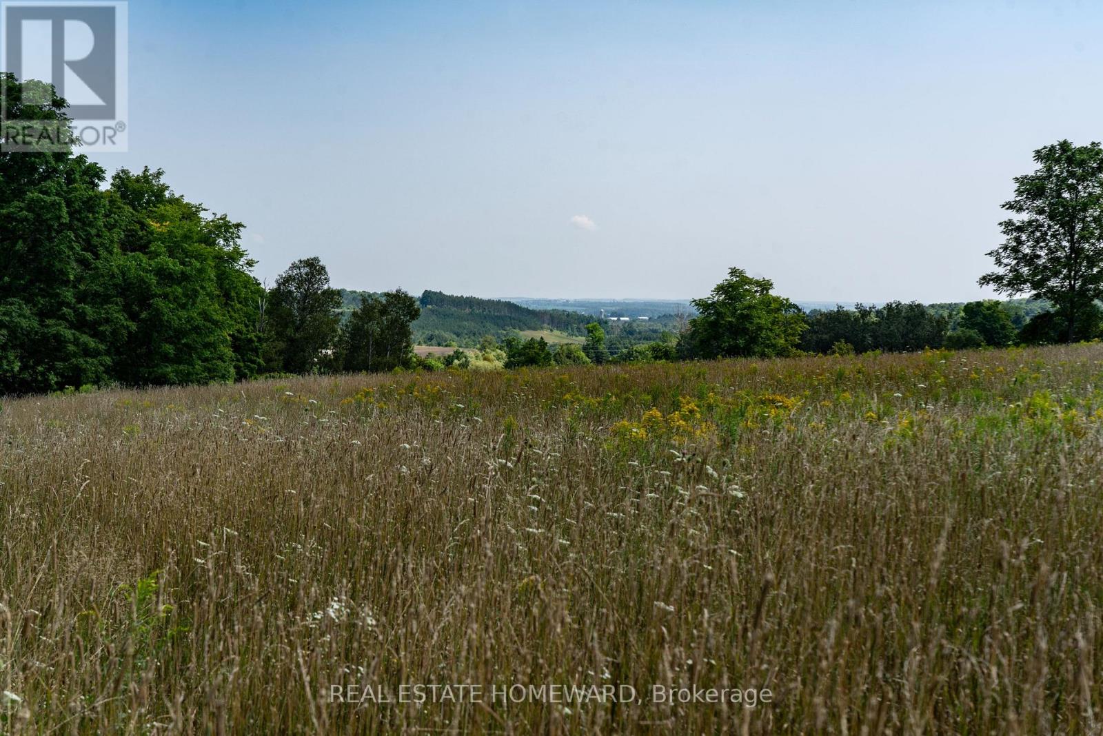 877217 5th Line S, Mulmur, Ontario  L9V 3M6 - Photo 18 - X9257306