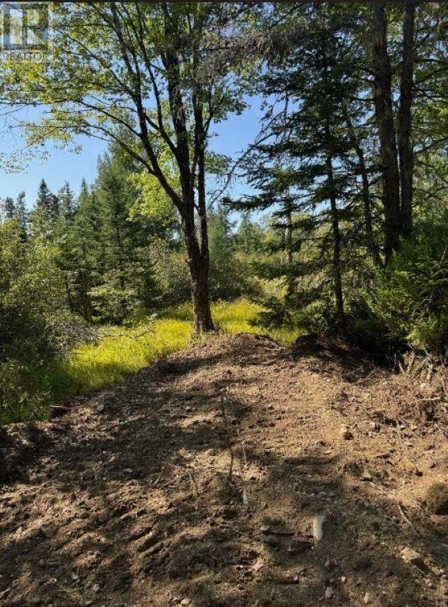 Lot Highway 203, East Kemptville, Nova Scotia  B5A 5P4 - Photo 9 - 202423721