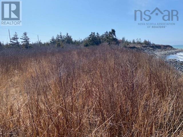 0 Ross Durkee Road, Sandford, Nova Scotia  B5A 5K8 - Photo 5 - 202408349