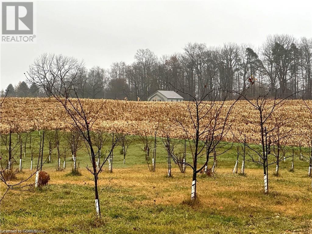 817 Charlotteville East Quarterline Road E, Vittoria, Ontario  N0E 1W0 - Photo 40 - 40666764