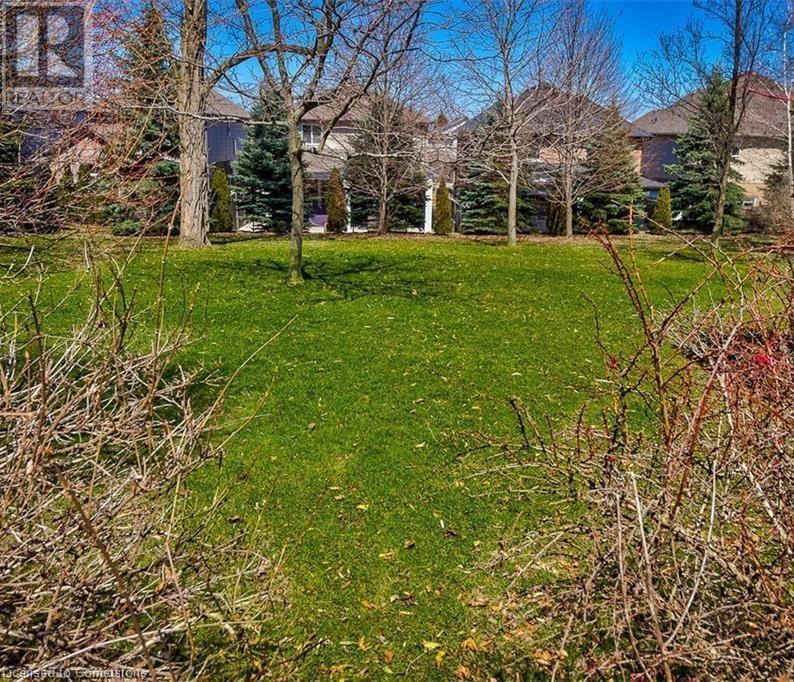 9788 Twenty Road W, Hamilton, Ontario  L0R 1W0 - Photo 6 - 40666752