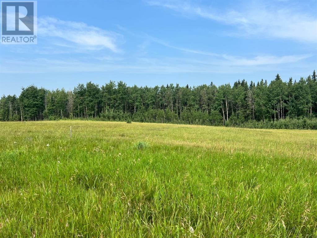 On Hwy 761, Rural Clearwater County, Alberta  T0M 1H0 - Photo 2 - A2154066