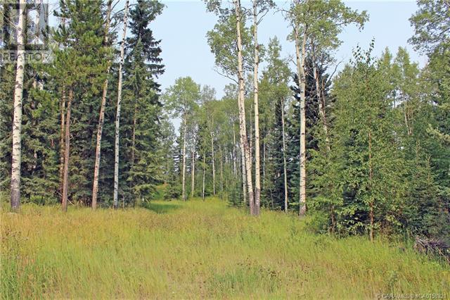 5 Ridgeland Road, Rural Clearwater County, Alberta  T4T 2A4 - Photo 2 - A2086761