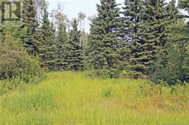 4 Forrest Close, Rural Clearwater County, Alberta  T4T 2A4 - Photo 4 - A2086790