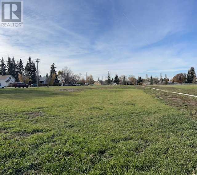 116 2 Avenue W, Rockyford, Alberta  T0J 2R0 - Photo 4 - A2174358