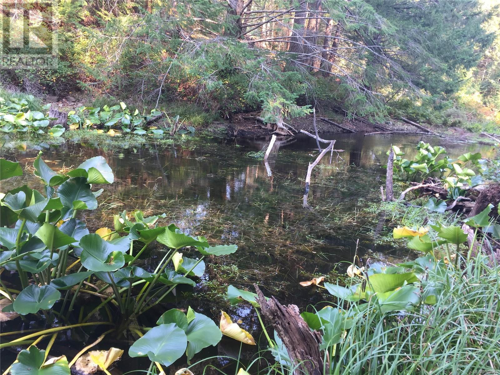 0 Trematon Lake, Lasqueti Island, British Columbia V0R 2J0 - Photo 3 - 978951