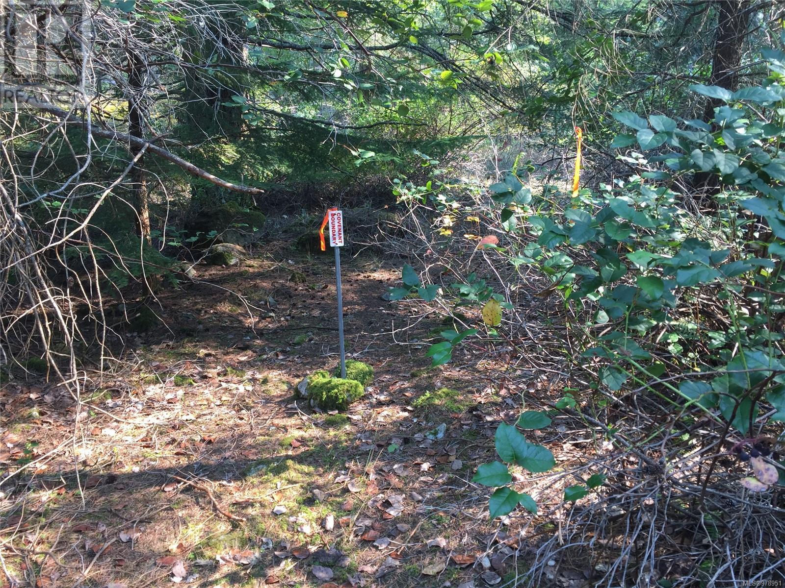 0 Trematon Lake, Lasqueti Island, British Columbia V0R 2J0 - Photo 4 - 978951