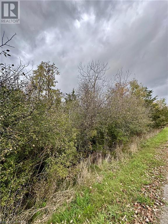 Lot 15 Martin Drive, Newburgh, Ontario  K0K 2S0 - Photo 7 - 40666904