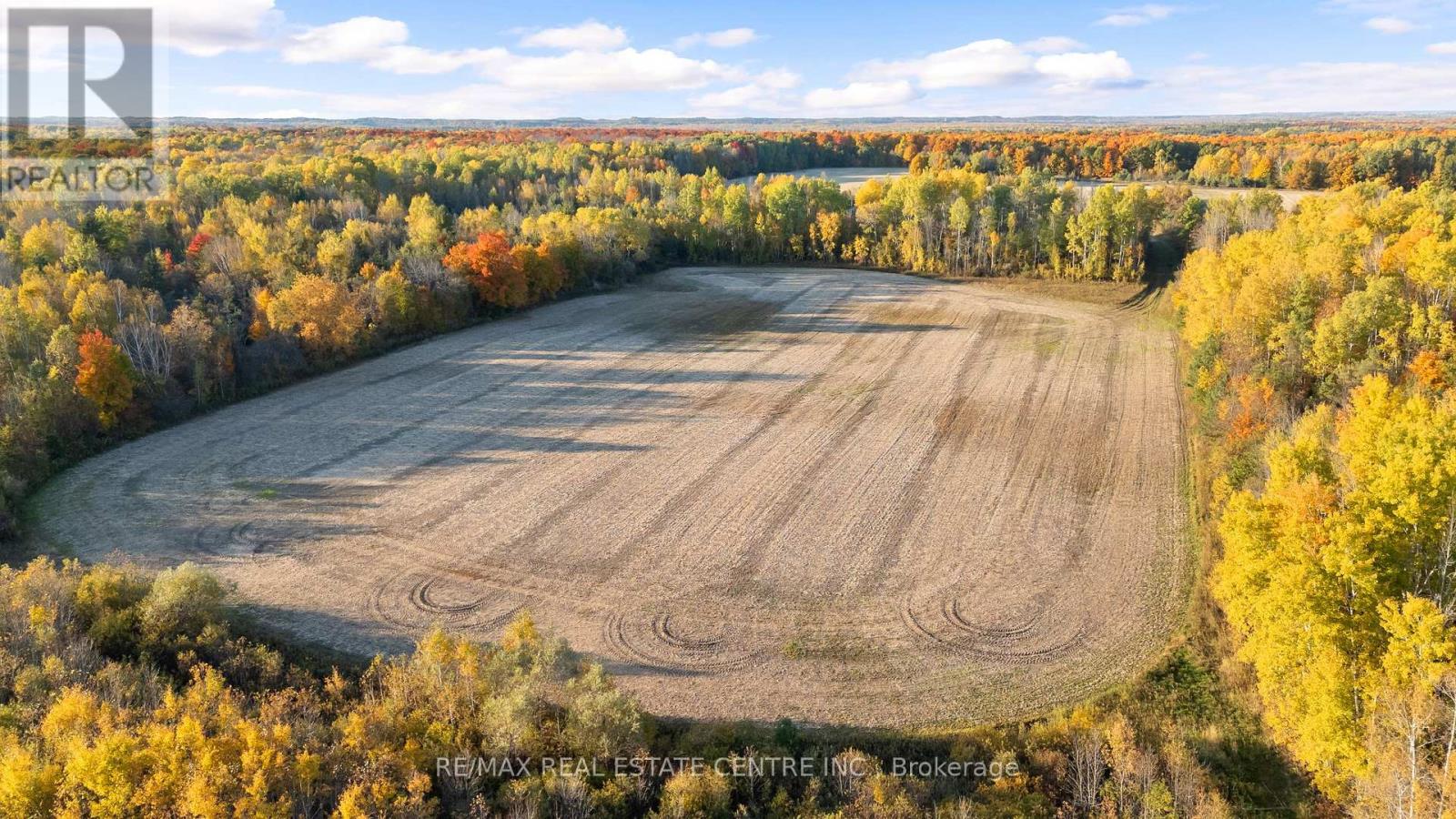 5188 Highway 26 Freeway, Clearview, Ontario  L0M 1S0 - Photo 37 - S9469303