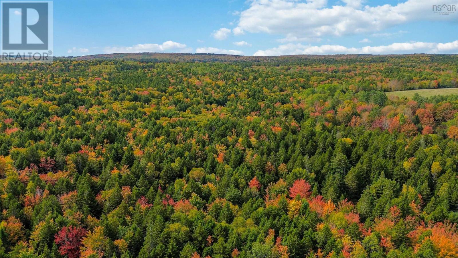 Lot Mc-4 Wilfred Hebb Road, Leminster, Nova Scotia  B0N 2T0 - Photo 2 - 202425149