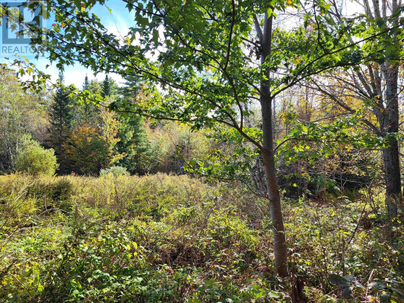 2198 Lapland Road, Lapland, Nova Scotia  B4V 7T5 - Photo 10 - 202425043