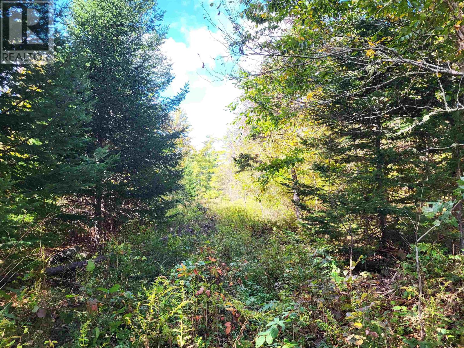 2198 Lapland Road, Lapland, Nova Scotia  B4V 7T5 - Photo 12 - 202425043