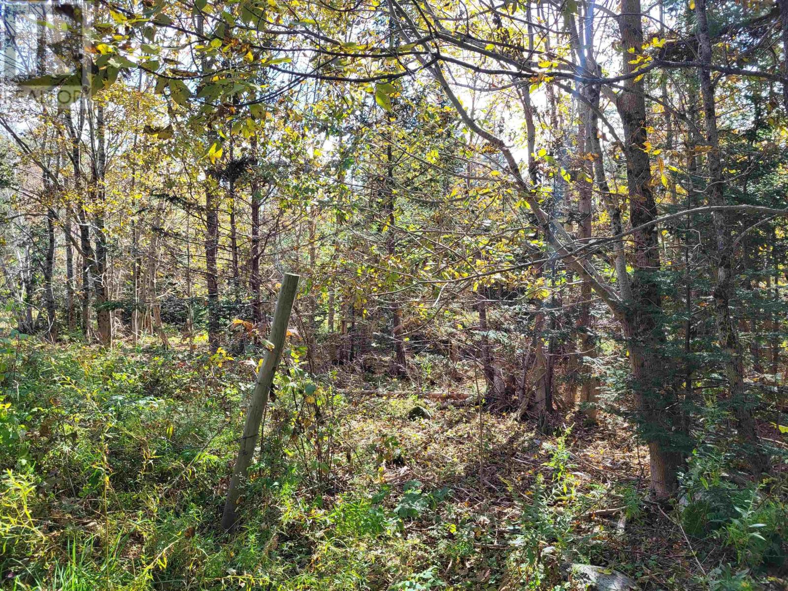 2198 Lapland Road, Lapland, Nova Scotia  B4V 7T5 - Photo 13 - 202425043