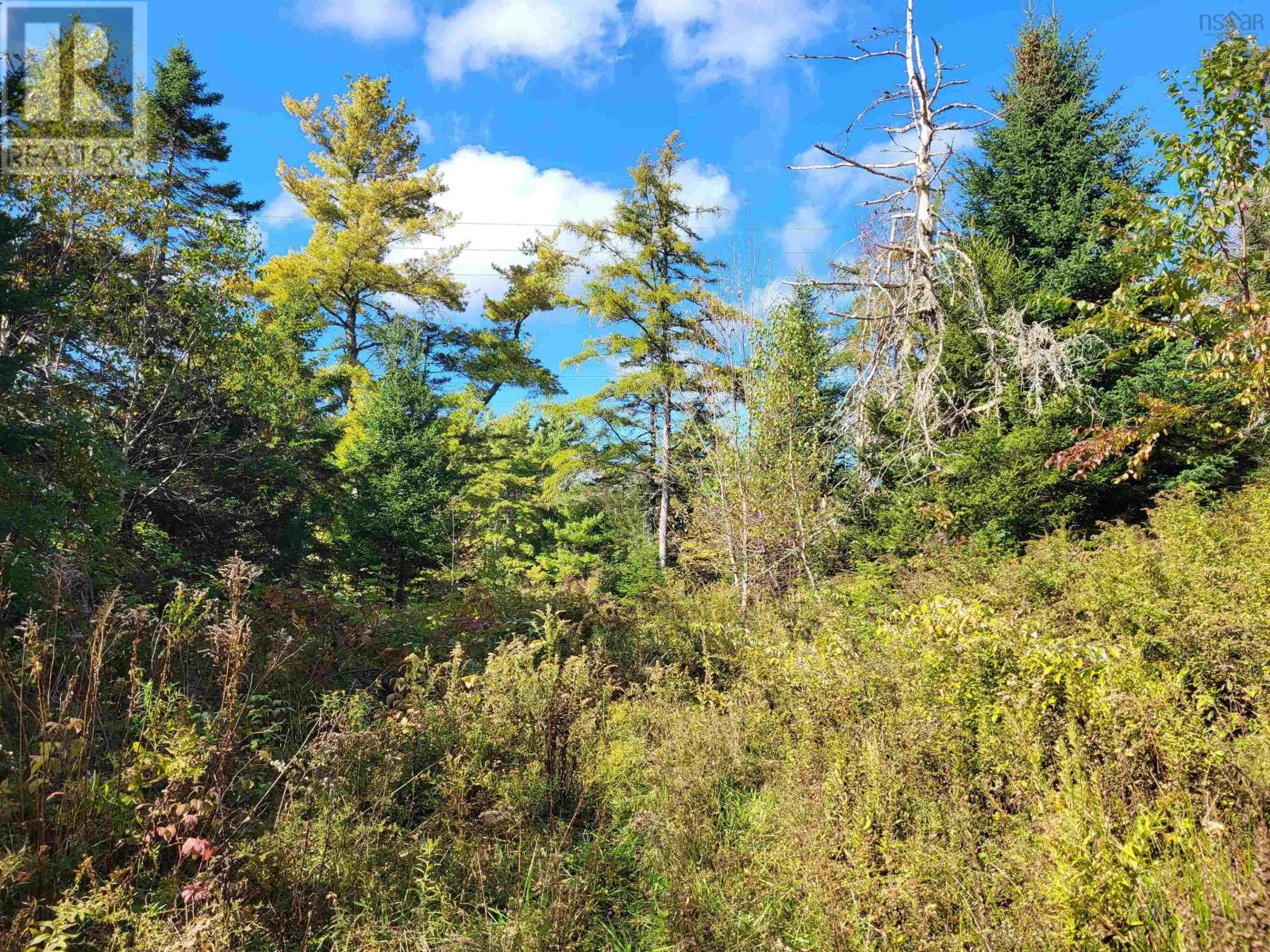 2198 Lapland Road, Lapland, Nova Scotia  B4V 7T5 - Photo 14 - 202425043