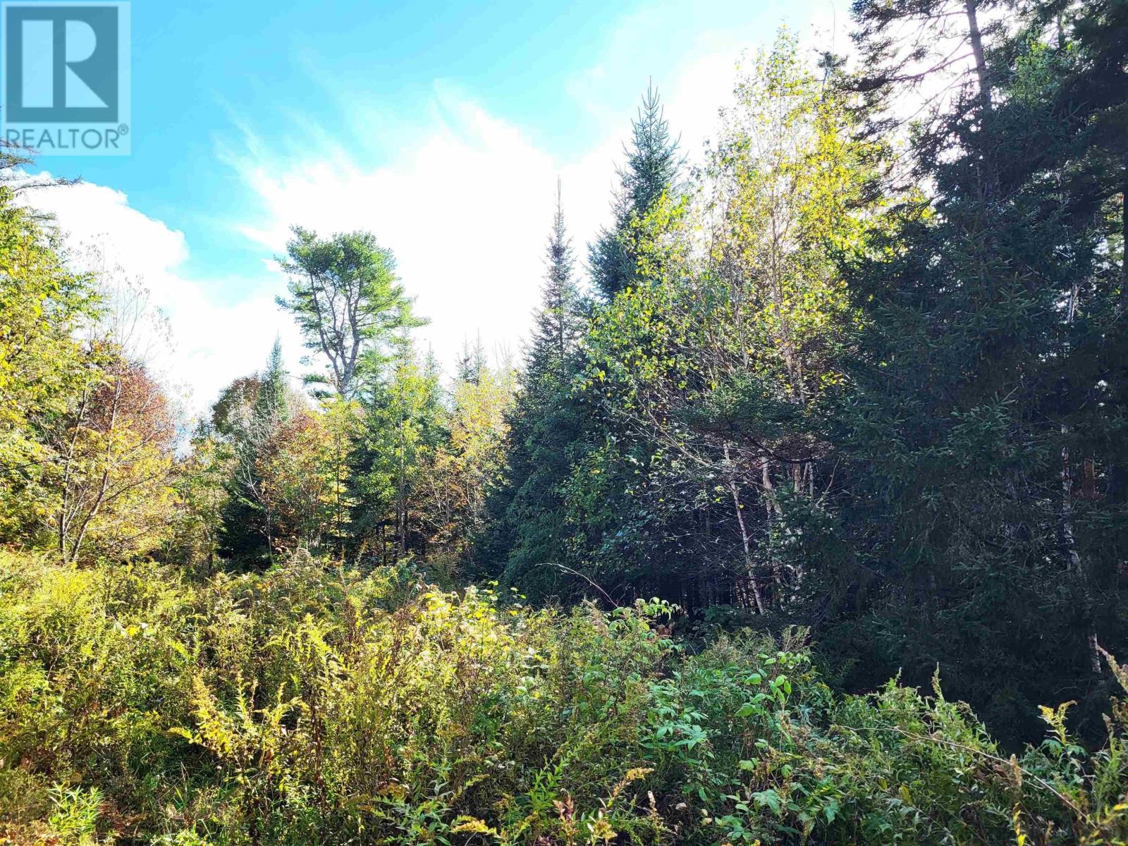 2198 Lapland Road, Lapland, Nova Scotia  B4V 7T5 - Photo 15 - 202425043