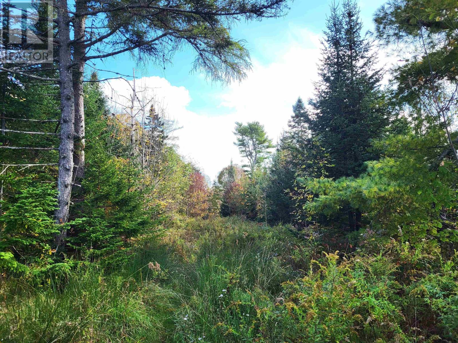 2198 Lapland Road, Lapland, Nova Scotia  B4V 7T5 - Photo 17 - 202425043