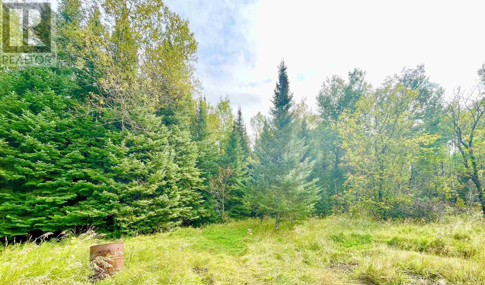 508 Hwy 594, Machin, Ontario  P0V 1S0 - Photo 5 - TB243305
