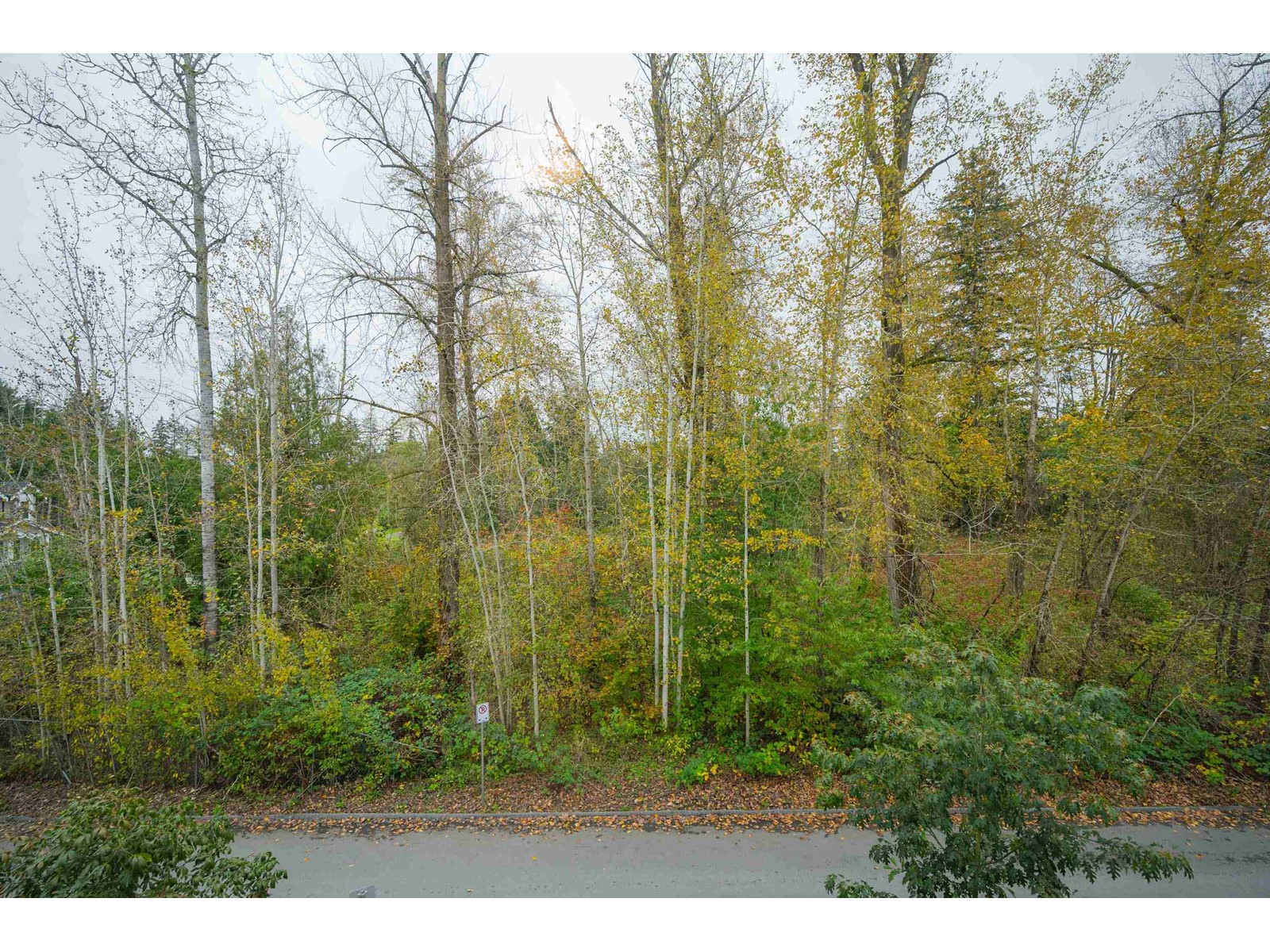 70 16685 25 Avenue, Surrey, British Columbia  V3Z 0Z4 - Photo 22 - R2935233