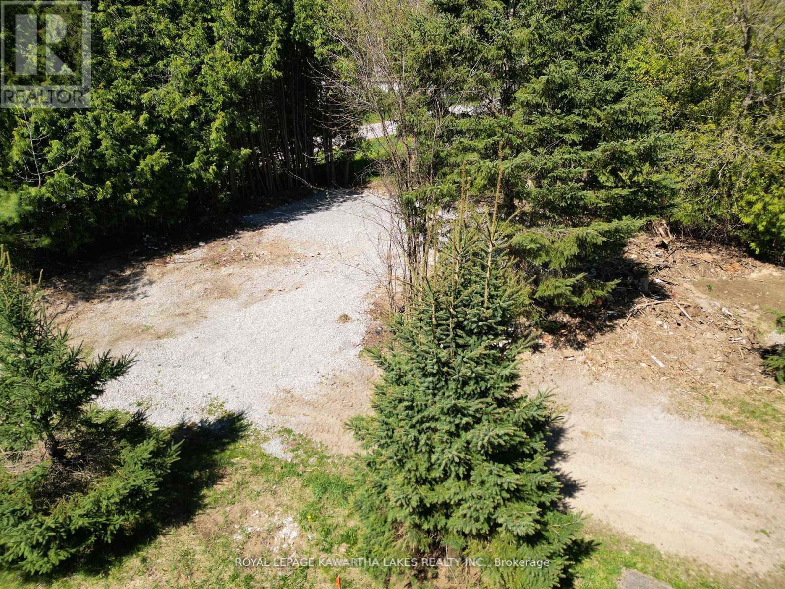 Lt 34 Cockburn Street, Kawartha Lakes (Laxton/digby/longford), Ontario  K0M 2L0 - Photo 8 - X9506706